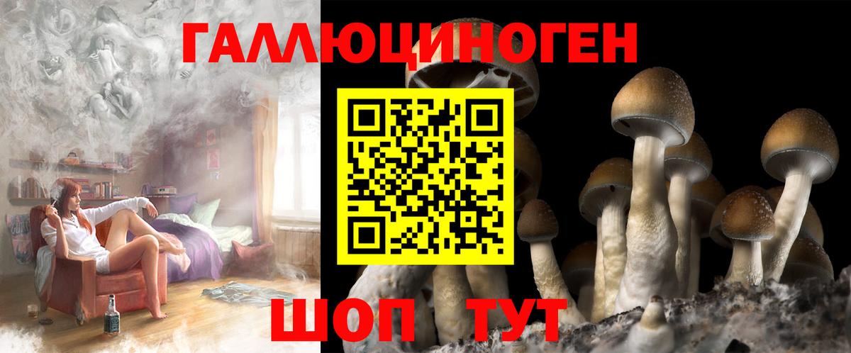 Нижнеудинск  Псилоцибиновые грибы Psilocybe  Псилоцибиновые грибы GOLDEN TEACHER  Вход с VPN 